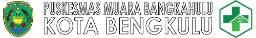 Website Resmi Puskesmas Muara Bangkahulu